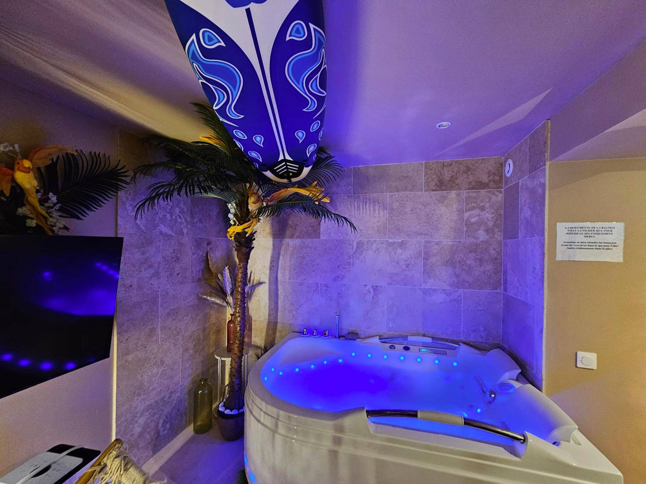 Photo du logement - L'Oasis Evasion de 60m2 avec SPA privatif et Design