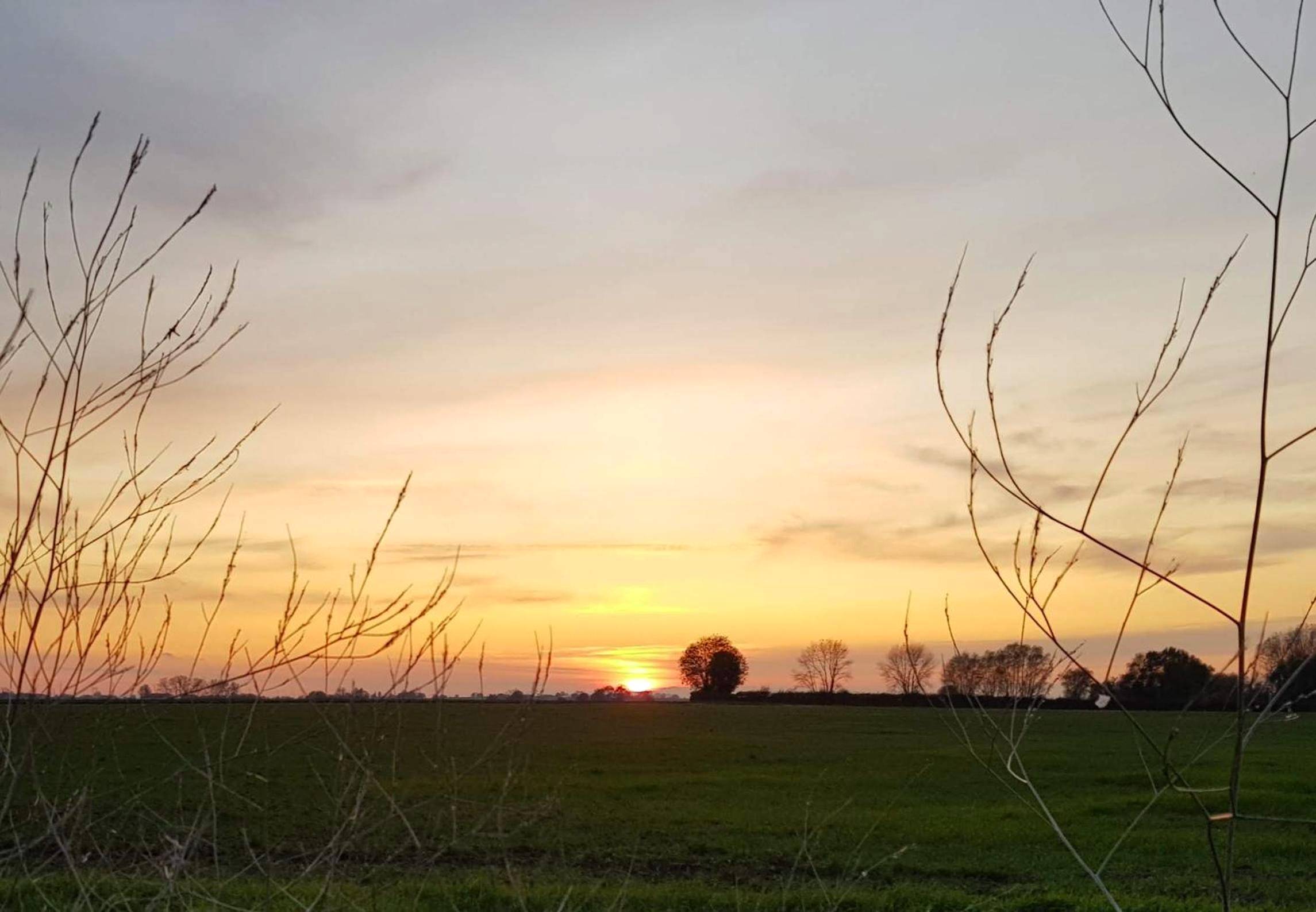 Photo du logement - Odyssée - Chambre d'hôtes avec spa et sauna privés