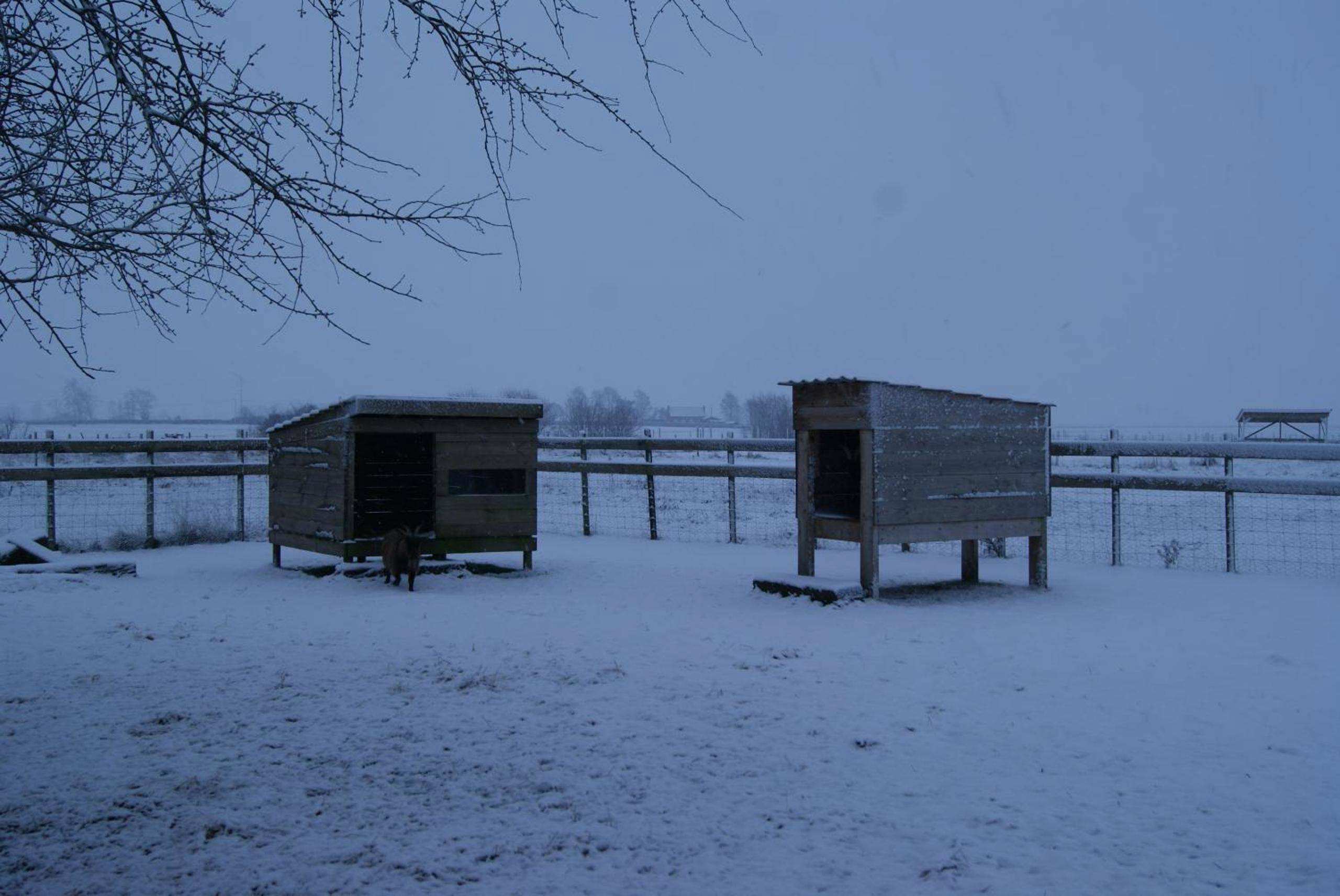 Photo du logement - Odyssée - Chambre d'hôtes avec spa et sauna privés - Zegerscappel