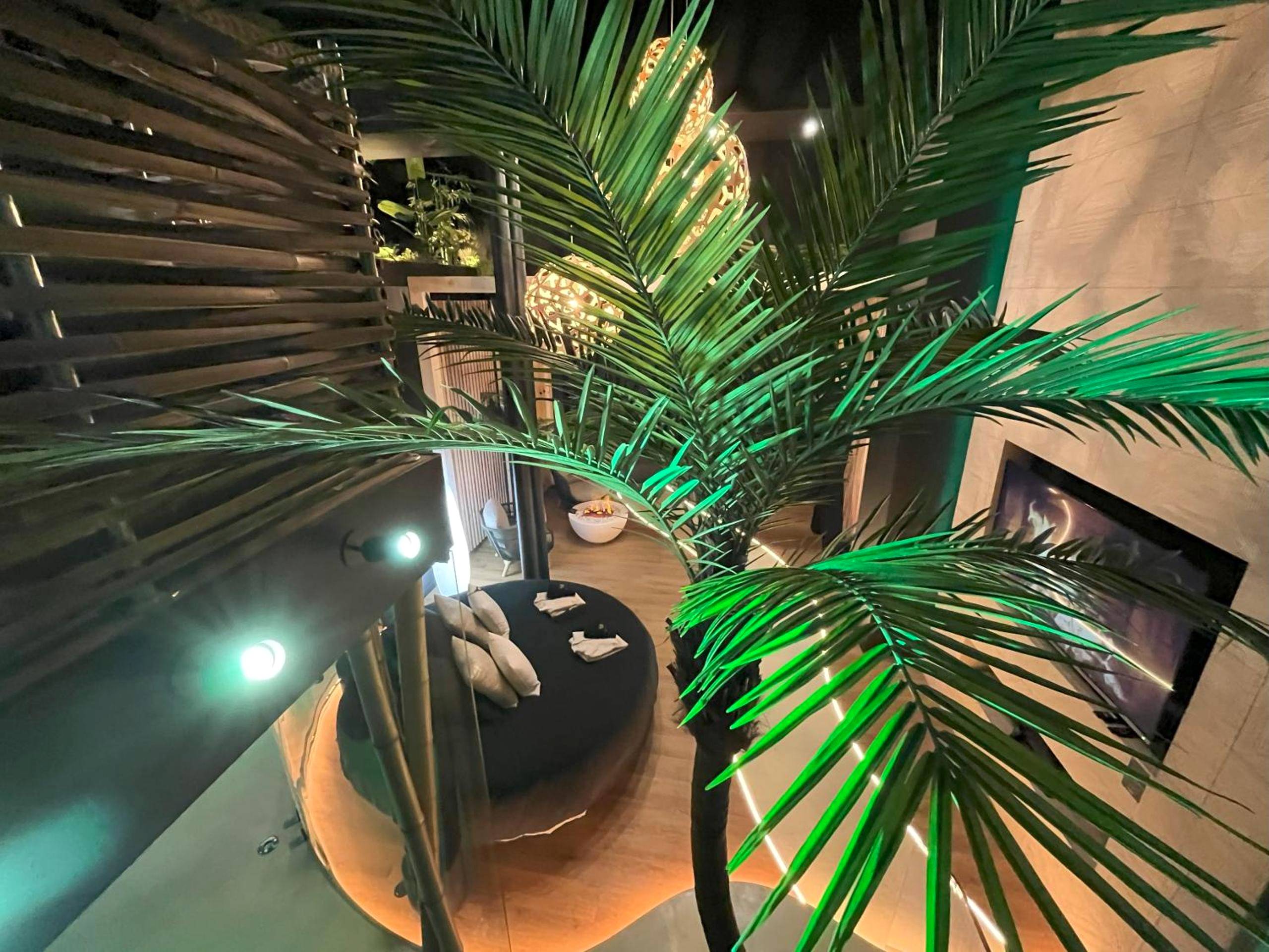 Vue plongeante sur le lit rond et le palmier - OMIRA - Nuits d'exception & Spa
