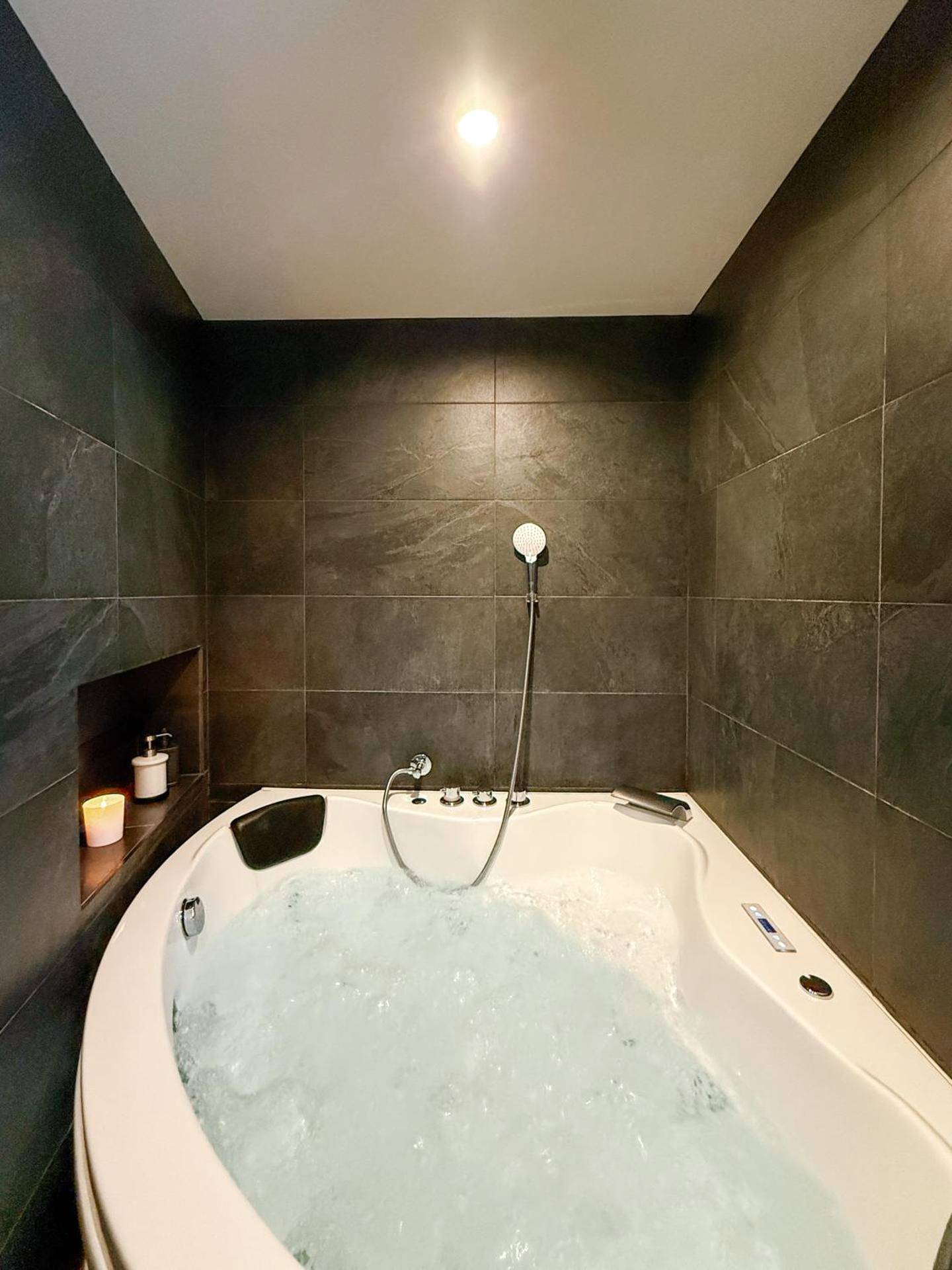 Vue du logement - L'Oxalis villa (L'Osmanthus), Logement avec balnéothérapie privée
