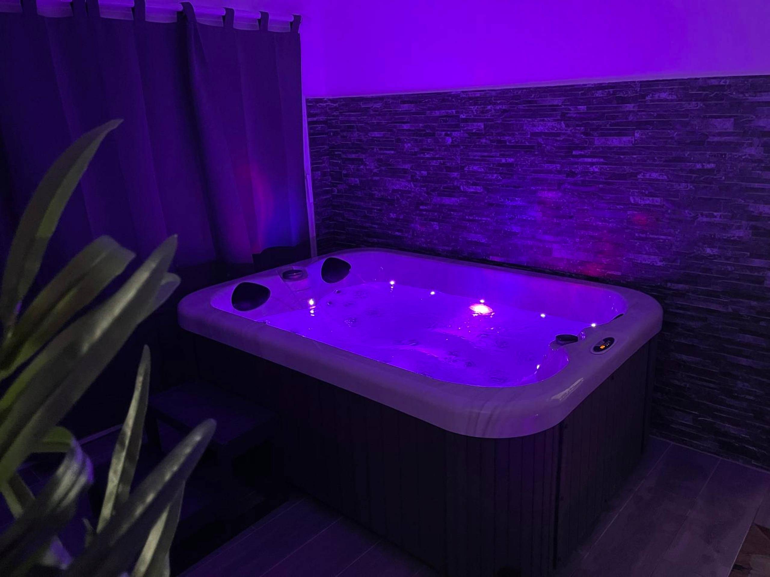 Photo du logement - La Paillote Exotique Spa - Beaucaire