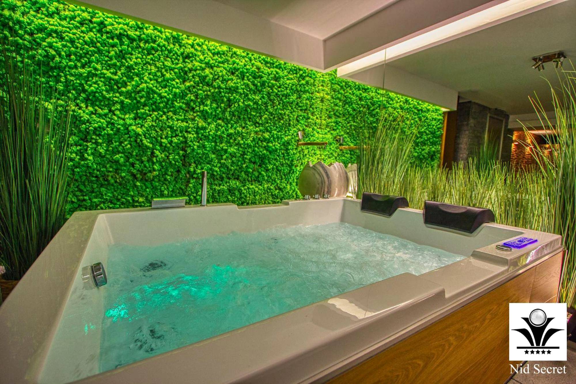 Jacuzzi bouillonnant devant un mur végétal - Panoramique 180 lac et montagne et Nid Secret spa romantique