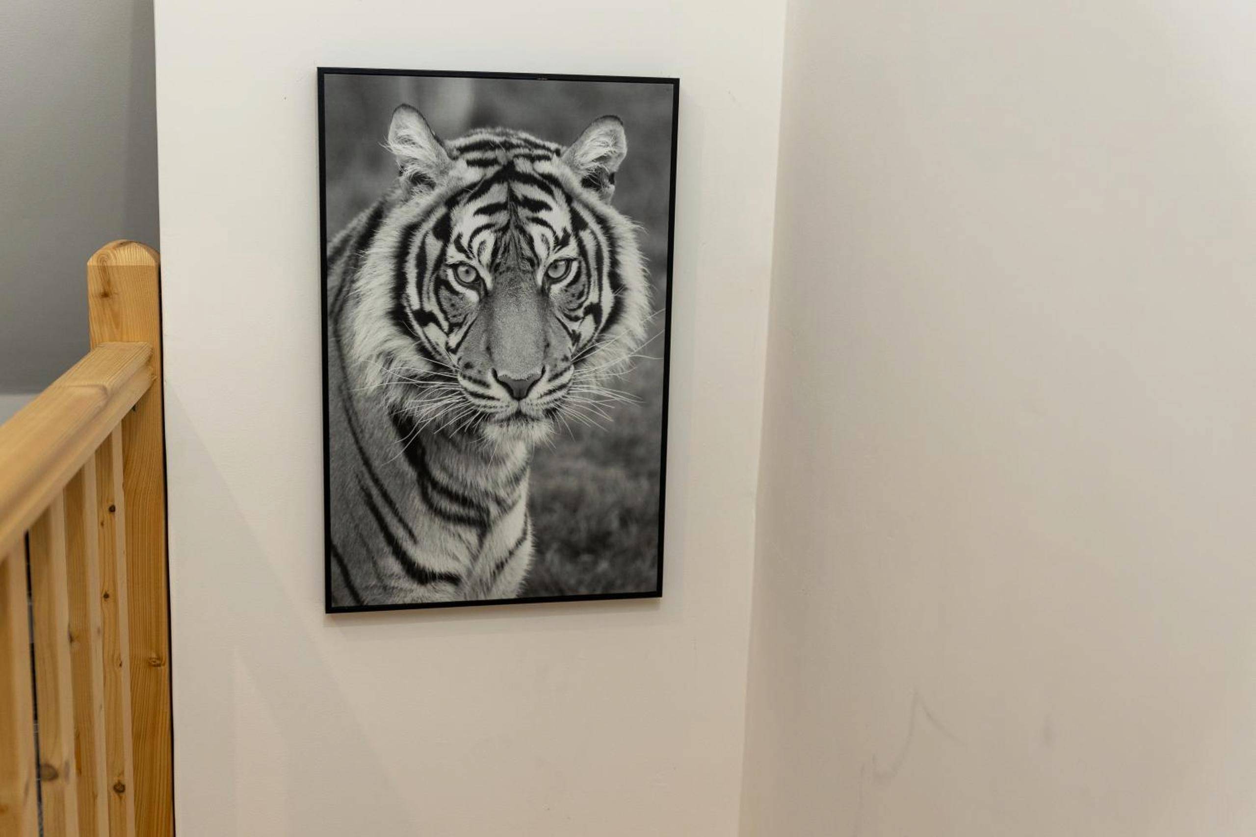 Photo du logement - Paradis des bulles