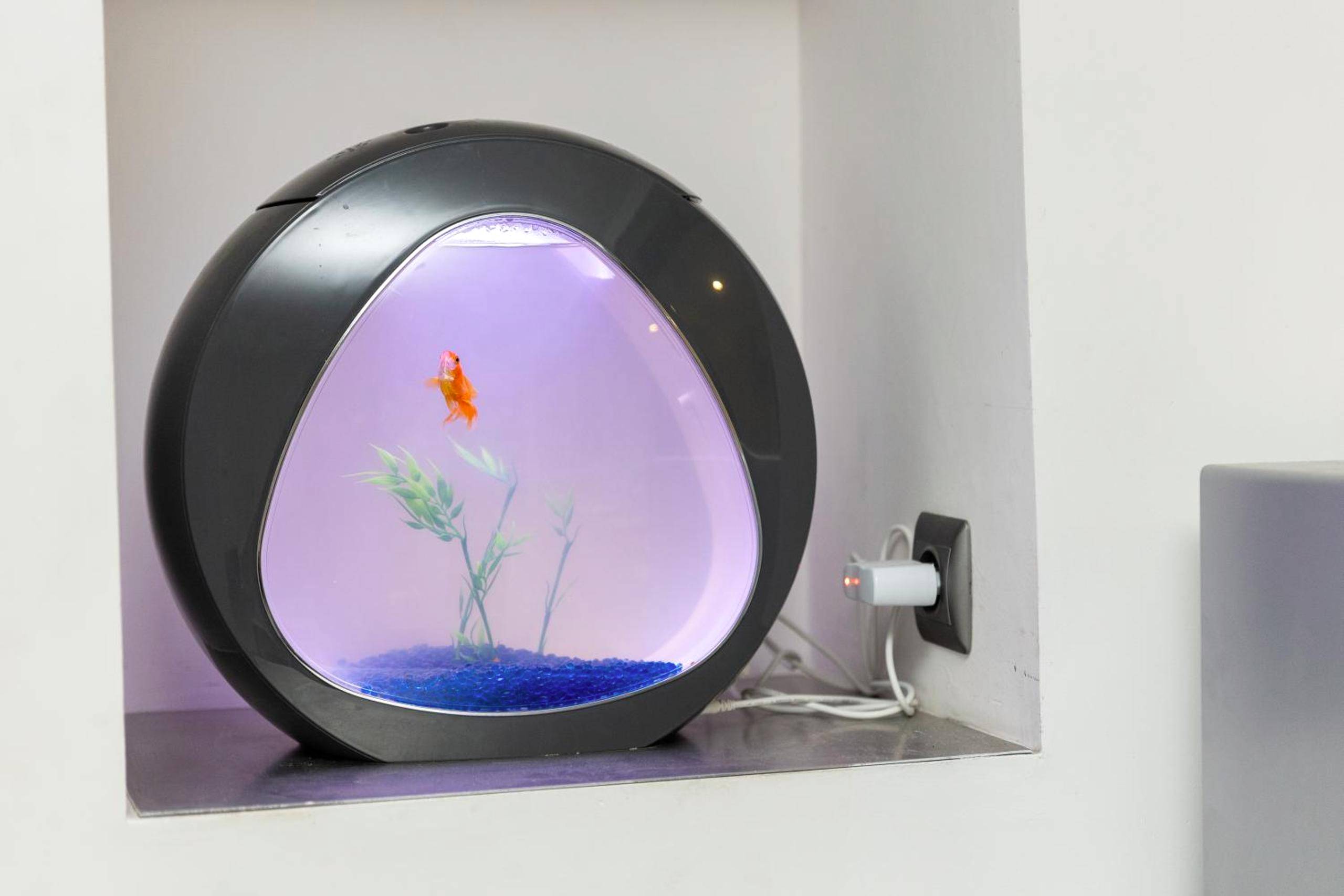 Photo du logement - Paradis des bulles - Châteaudun