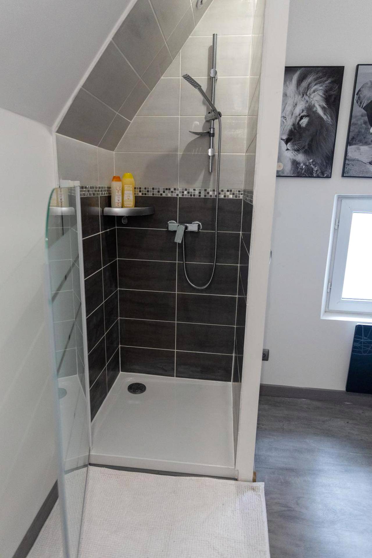 Photo du logement - Paradis des bulles