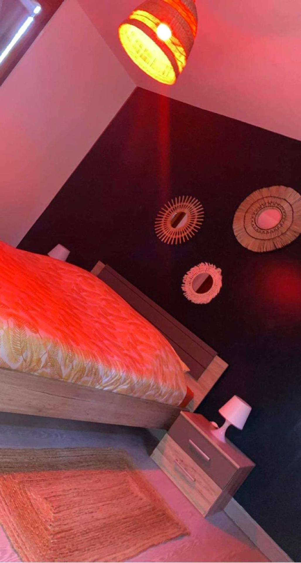 Photo du logement - Paradis Du Nord