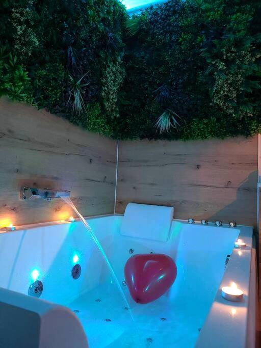 Photo du logement - Le Parc, logement de charme avec SPA privatif - LE HAVRE - Le Havre