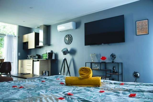 Lit avec pétales de rose face à la télévision - Love Room - La Parenthèse