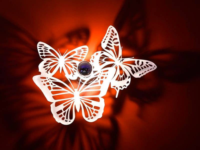 Photo du logement - Une Parenthese pour Deux