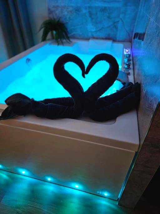 Photo du logement - La Parenthèse - Votre Cocon au Centre d'Oyonnax