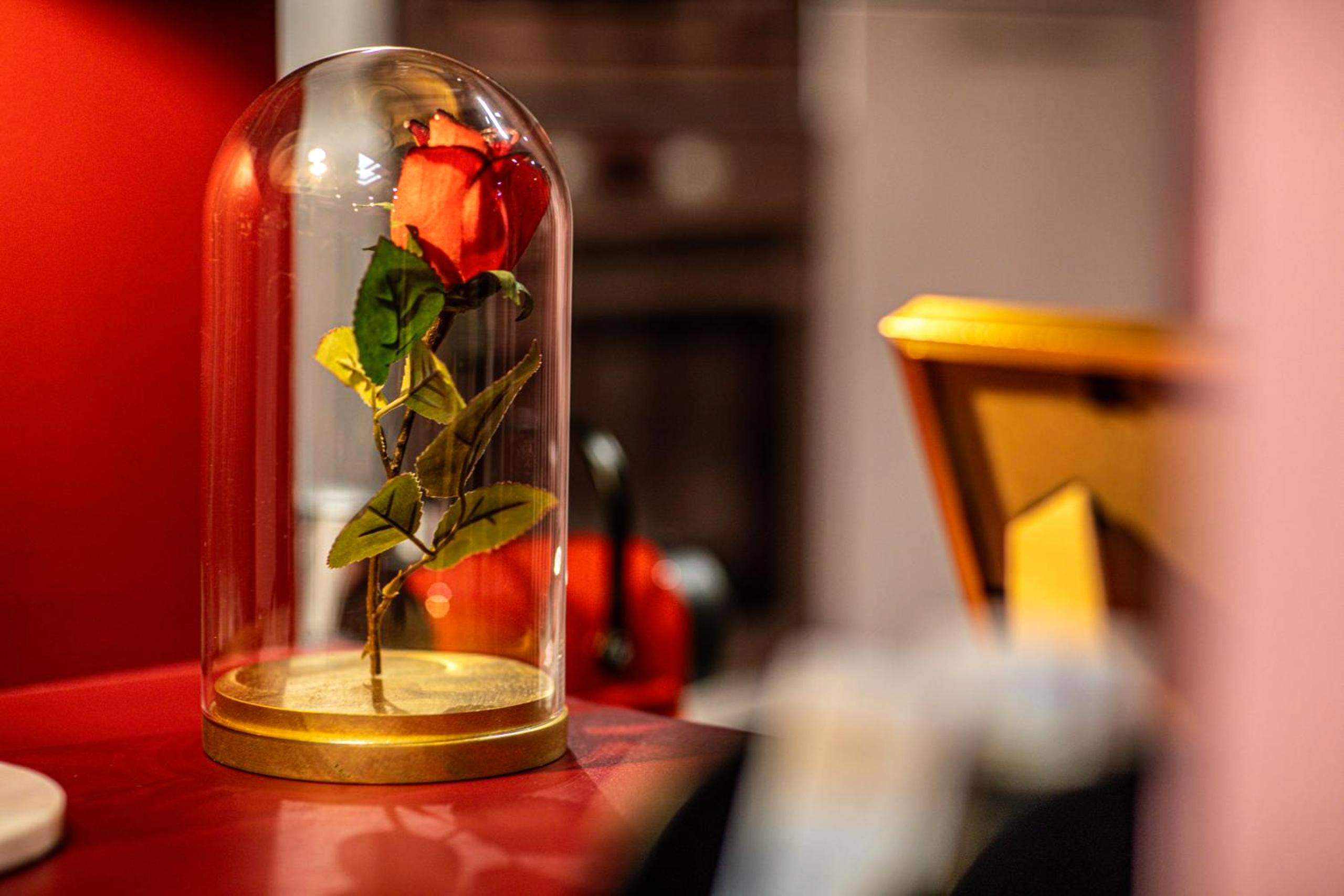 Photo du logement - La Parenthèse Numéro 6 - Jacuzzi Reims - Reims