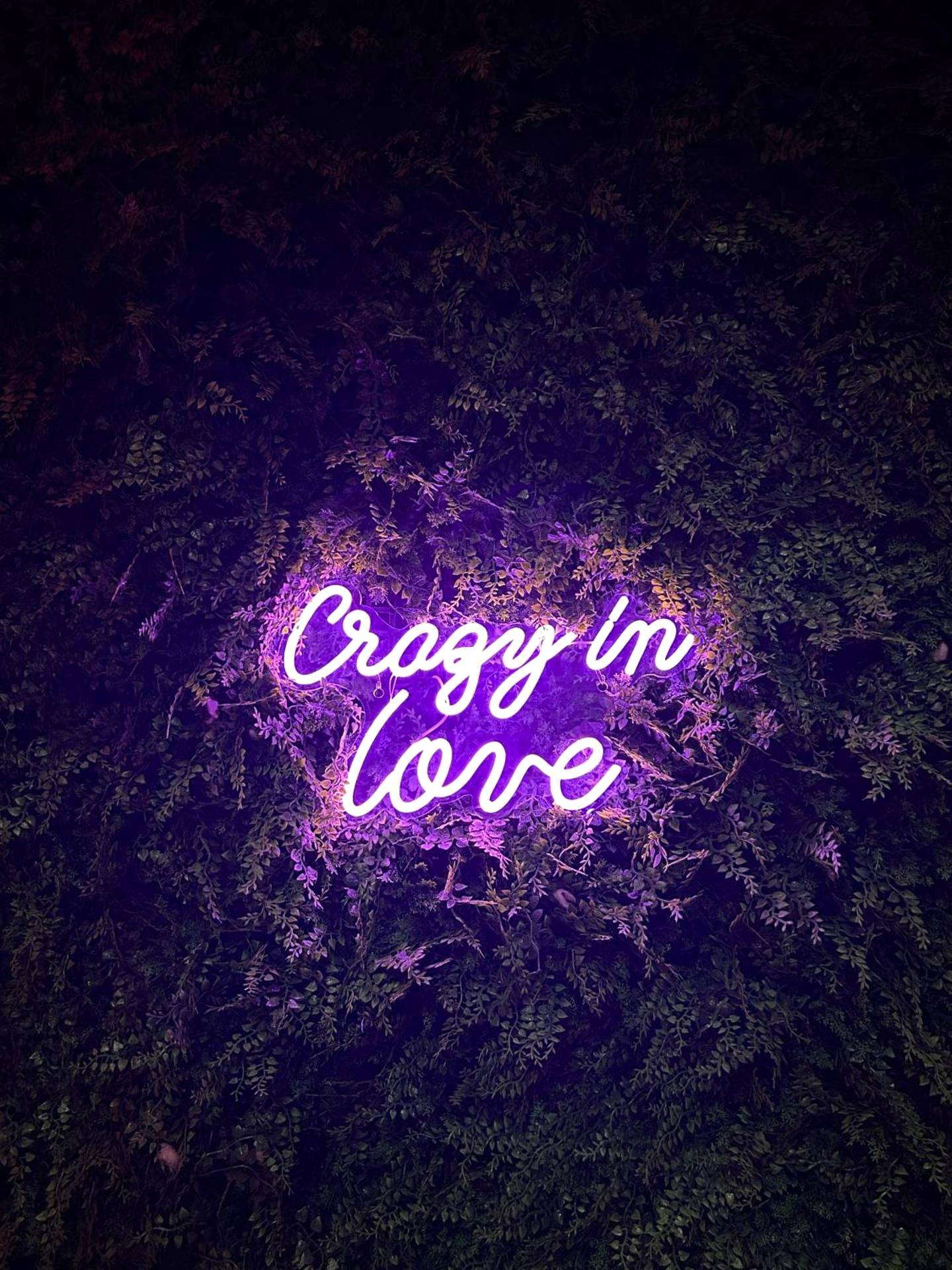 Photo du logement - Love room in Paris - Paris