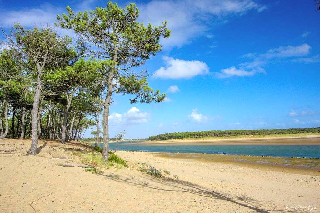 Photo du logement - Love Room Passion - Talmont - Saint - Hilaire