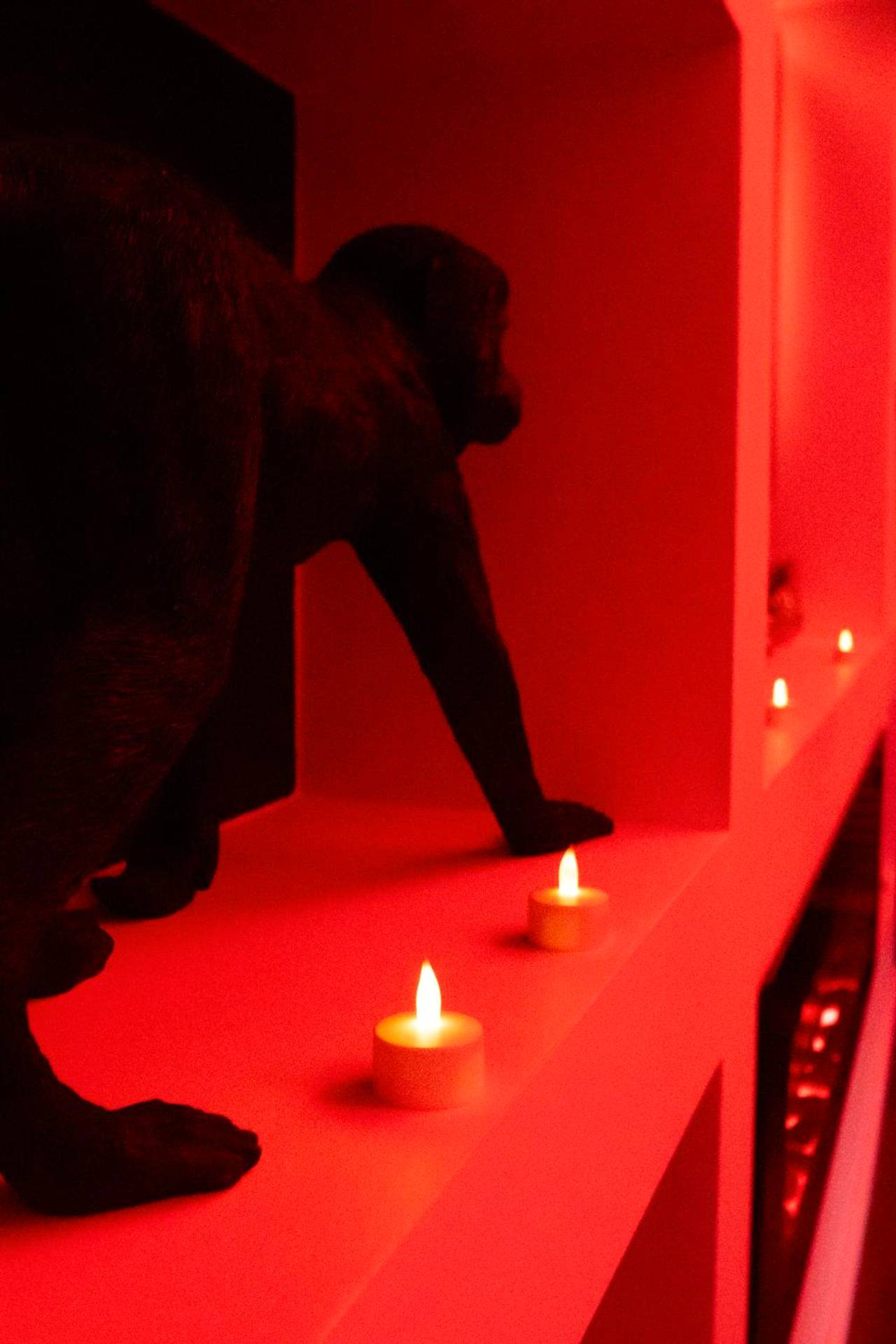 Photo du logement - Pepita - Appartement détente - Dieppe