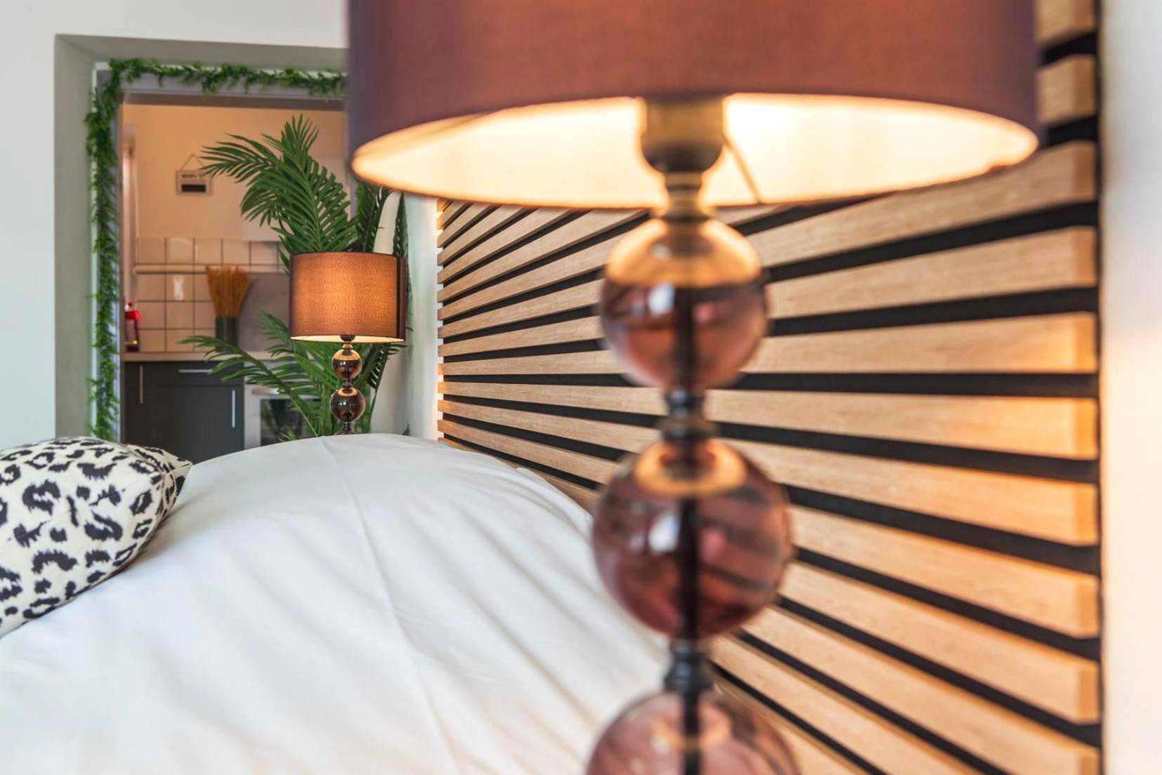 Photo du logement - La Petite Jungle Romantique - Balnéo et Détente - Schweighouse - sur - Moder