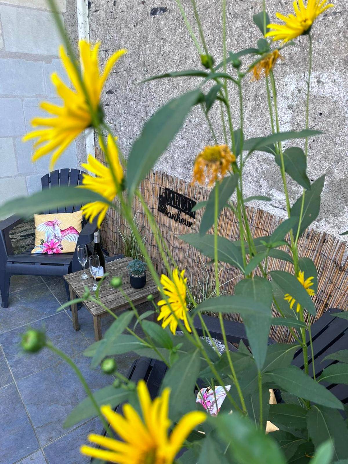 Terrasse extérieure avec fleurs et fauteuils - Les pieds dans l'eau ALOHA