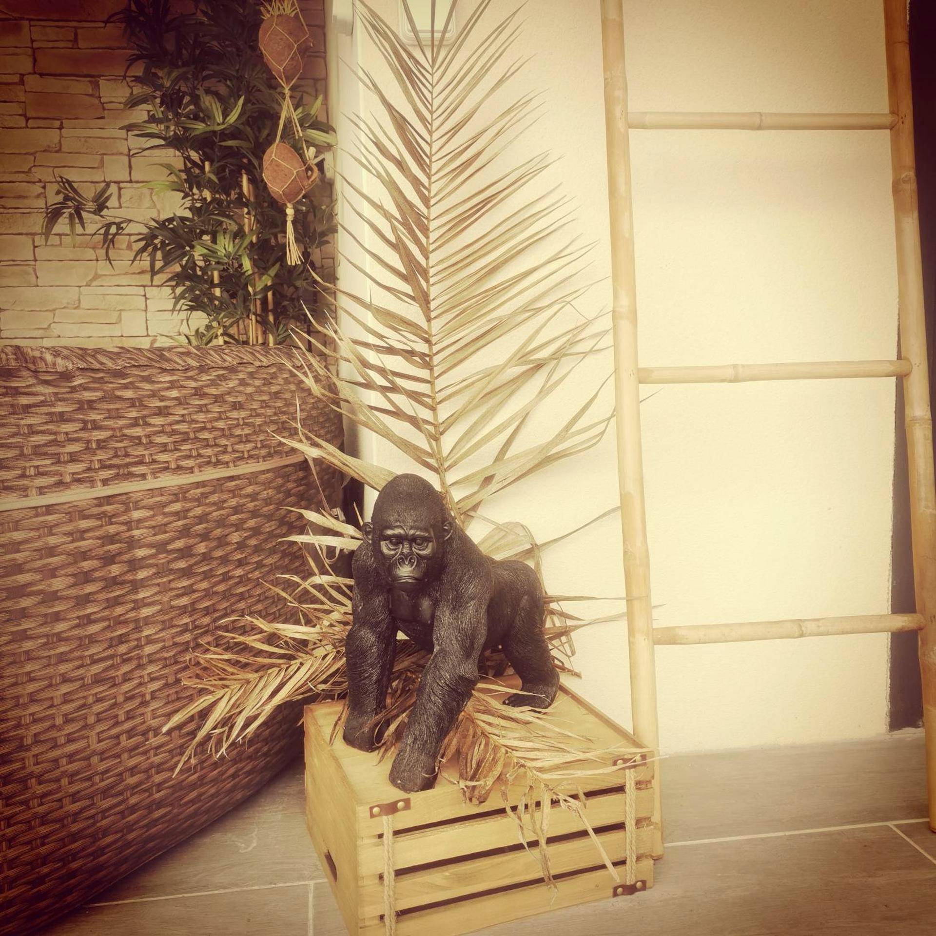 Photo du logement - Logement cosy avec piscine et jacuzzi privatifs