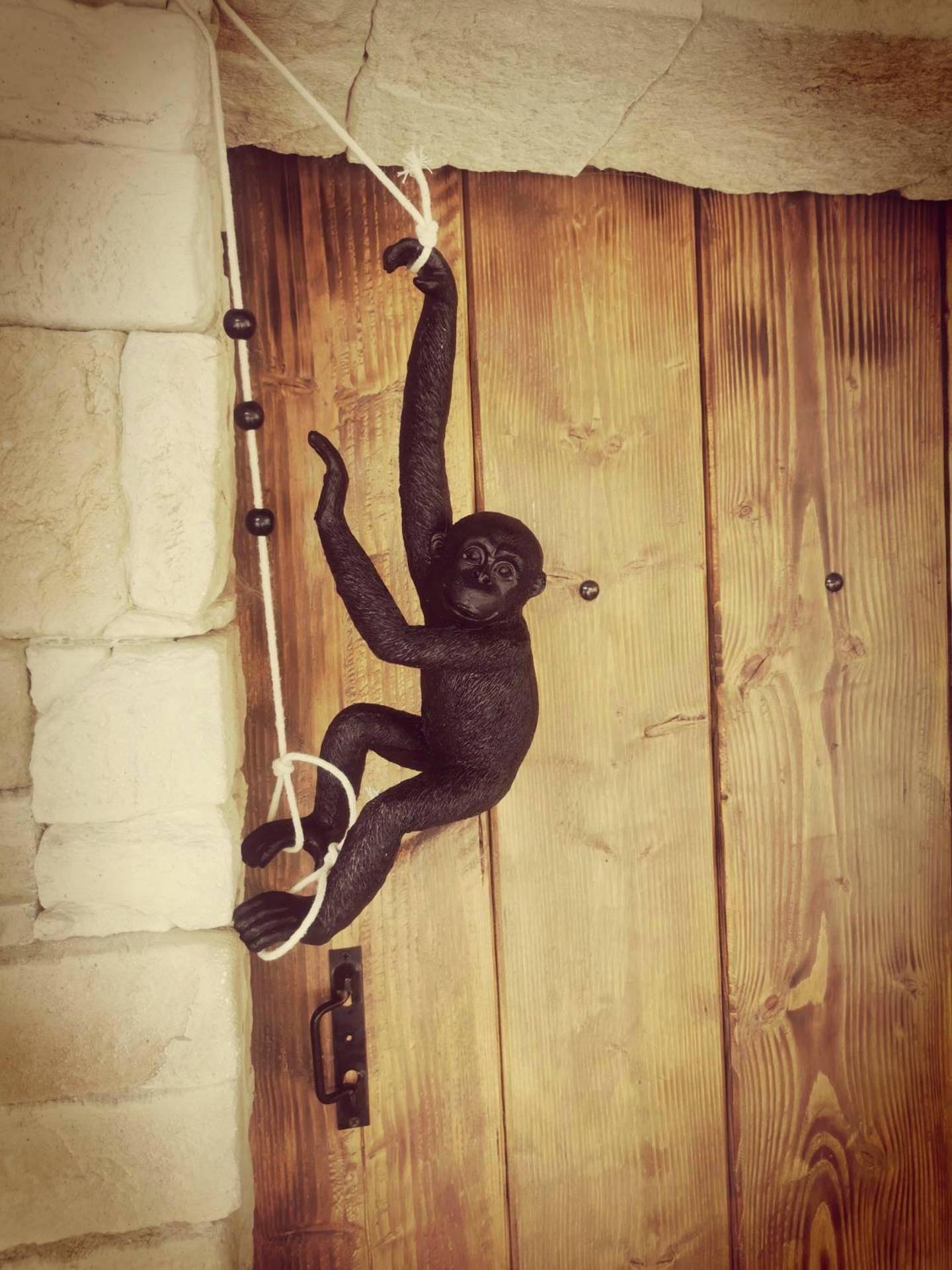 Photo du logement - Logement cosy avec piscine et jacuzzi privatifs - Saint - Nazaire