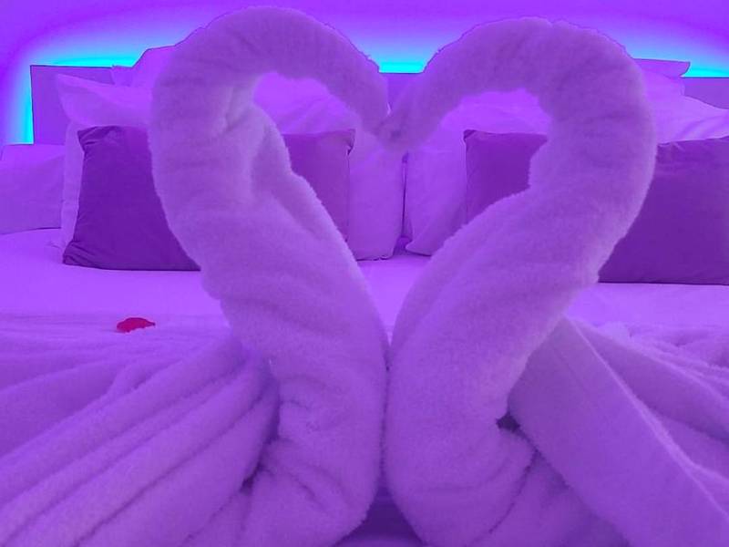 Photo du logement - Love room à 30 mn des plages et de Vannes - Questembert