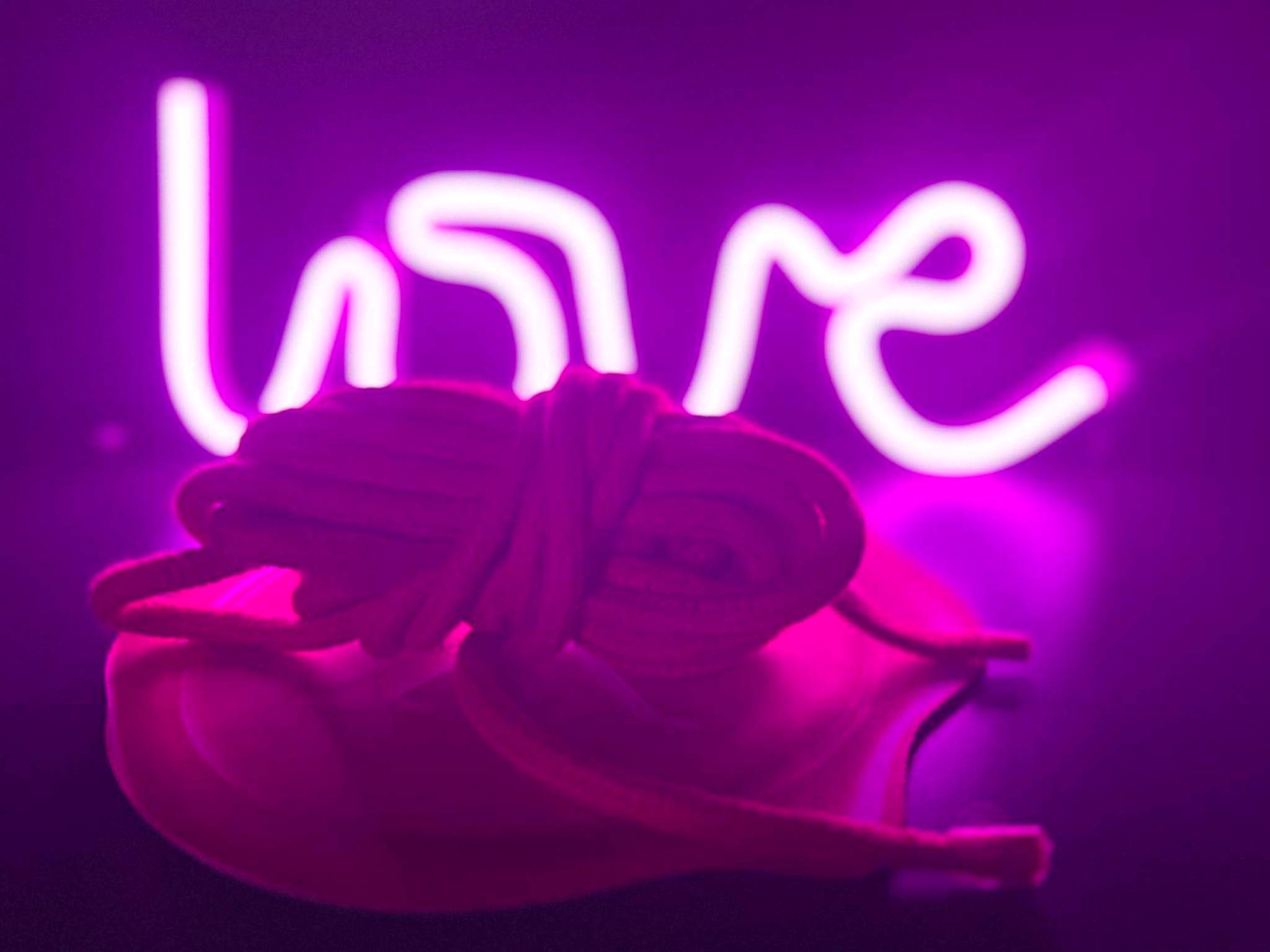 Photo du logement - LoveRoom avec SPA privatif Plélo