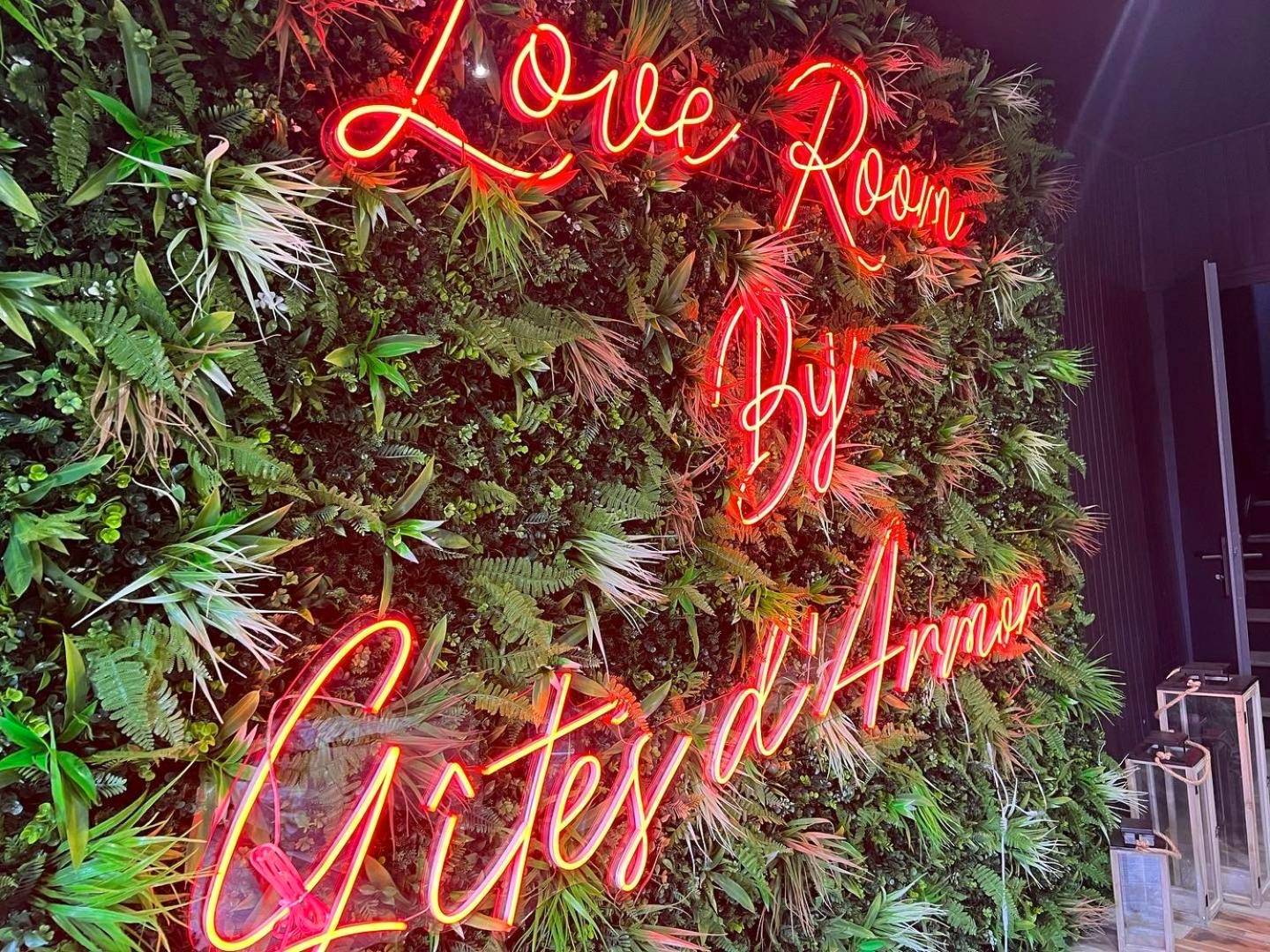 Photo du logement - LoveRoom avec SPA privatif Plélo