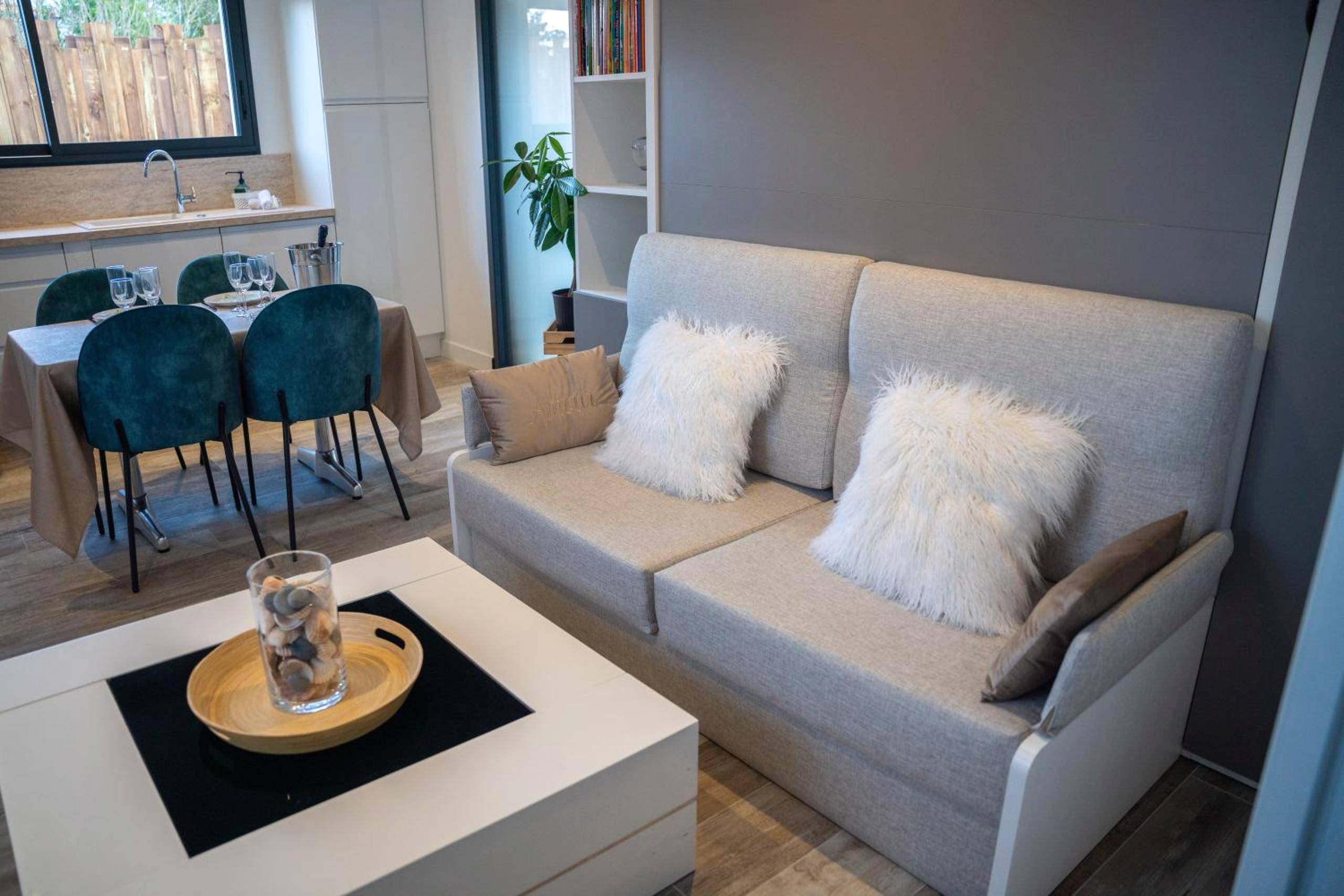 Photo du logement - Projecteur sur ma bulle - Studio Viens dans ma bulle avec JACUZZI privé