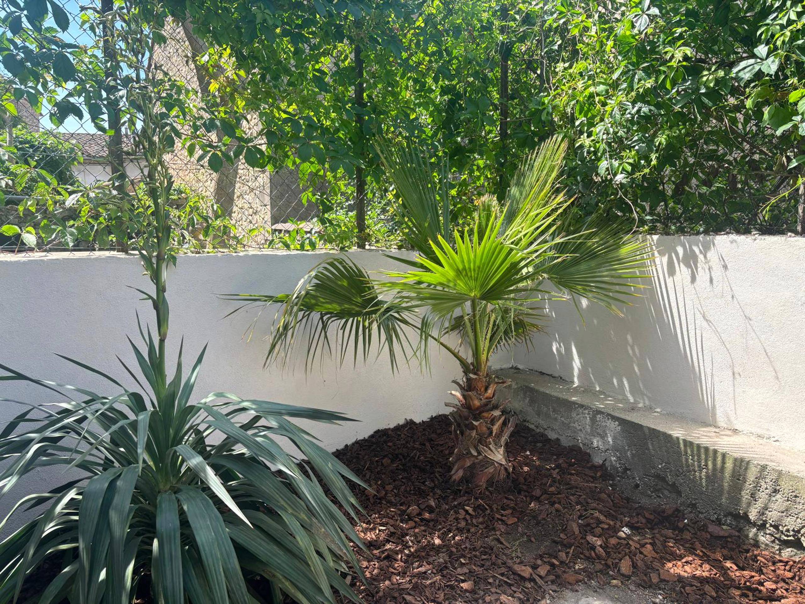 Photo du logement - Appartement cosy Quissac avec Jacuzzi