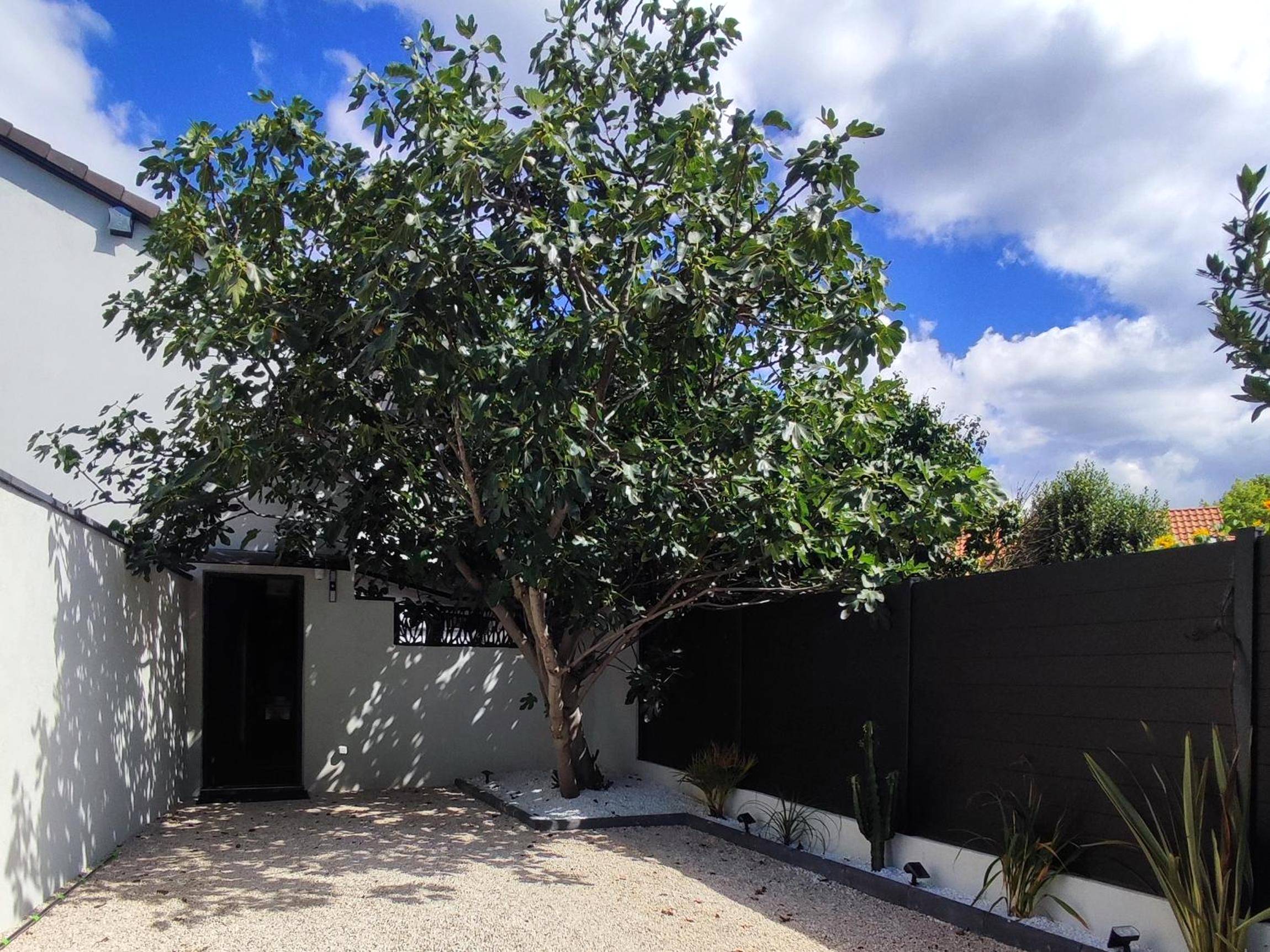 Cour extérieure privée avec grand figuier - R luxury piscine et spa privatifs