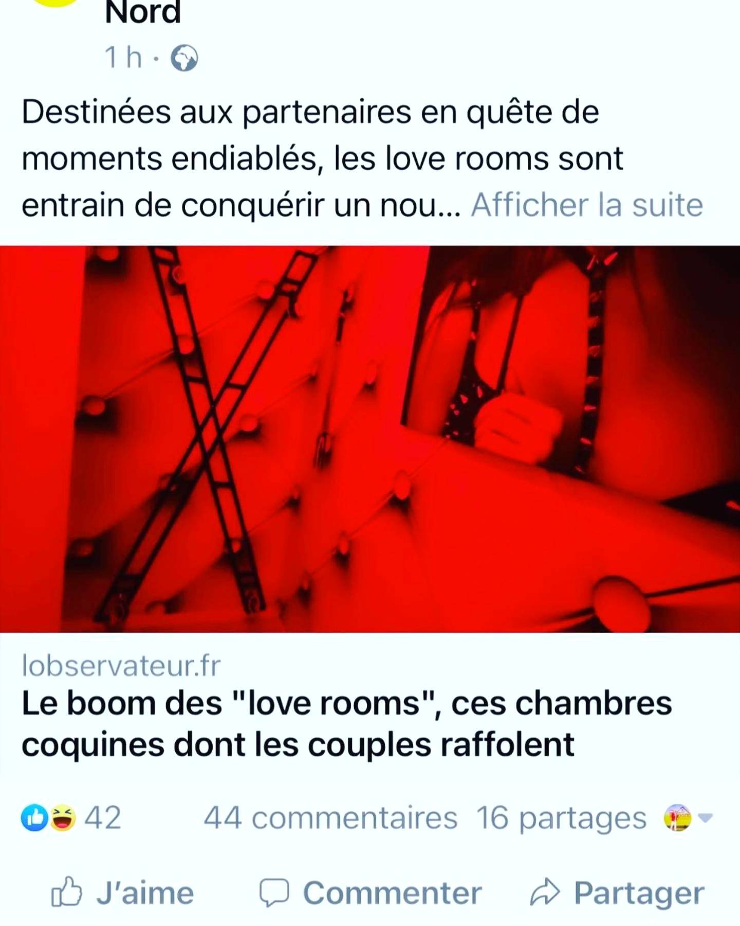 Photo du logement - Redroom Loveroom Chambre Spa privative Insolite Thème 50 nuances de grey
