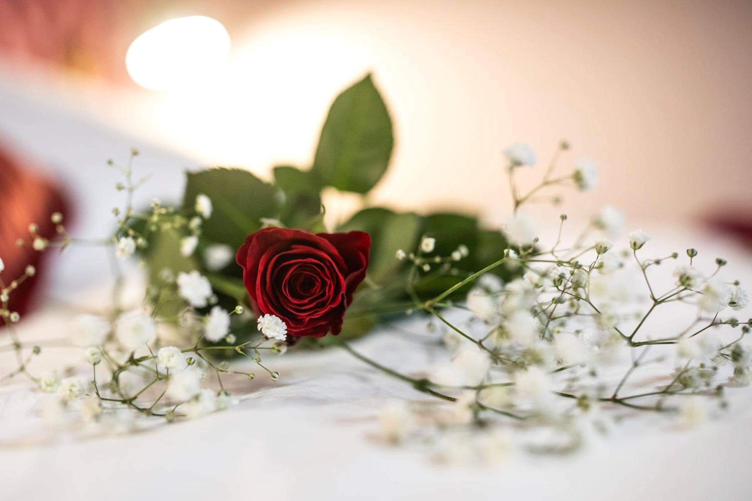 Photo du logement - Reflet des sens Love & Balnéo