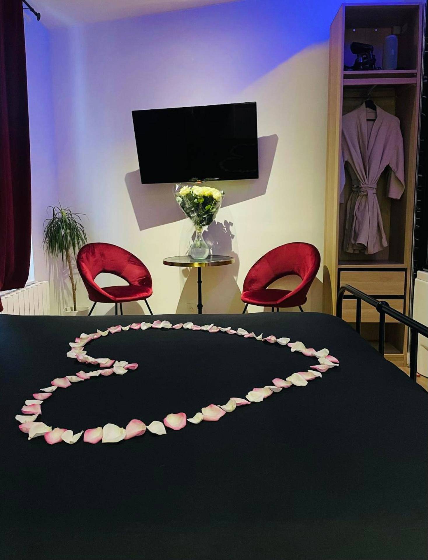 Photo du logement - Relax Room proche PARIS Porte de Versailles