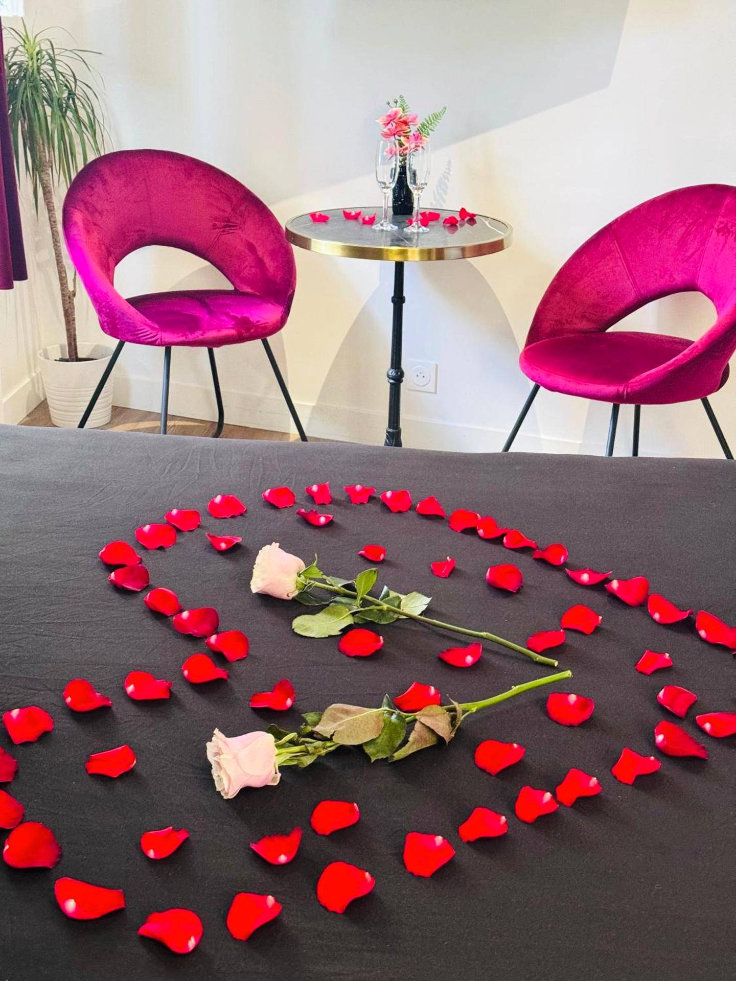 Photo du logement - Relax Room proche PARIS Porte de Versailles