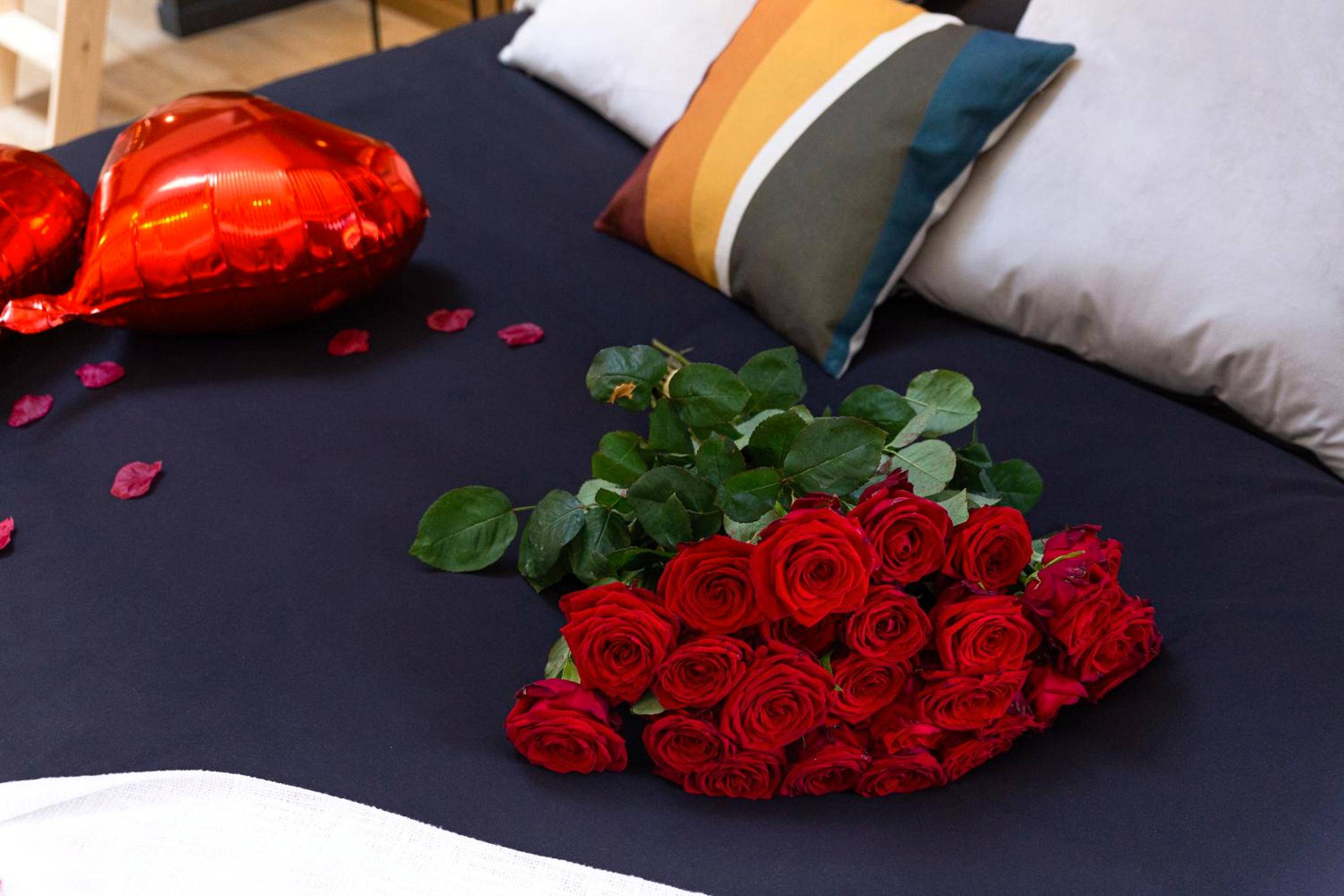 Photo du logement - Relax House & SPA - DISNEY - Coulommiers