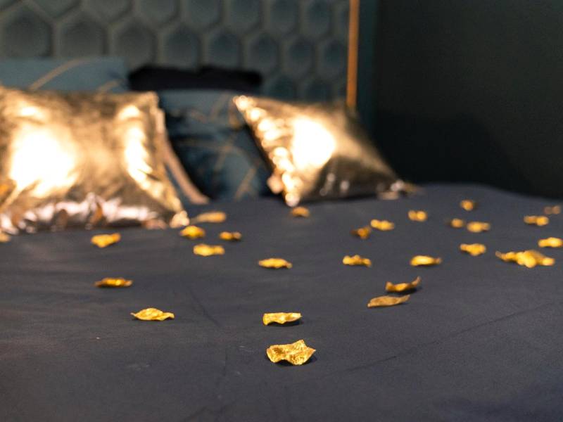 Photo du logement - Rêve d'or 2 - Déville - lès - Rouen