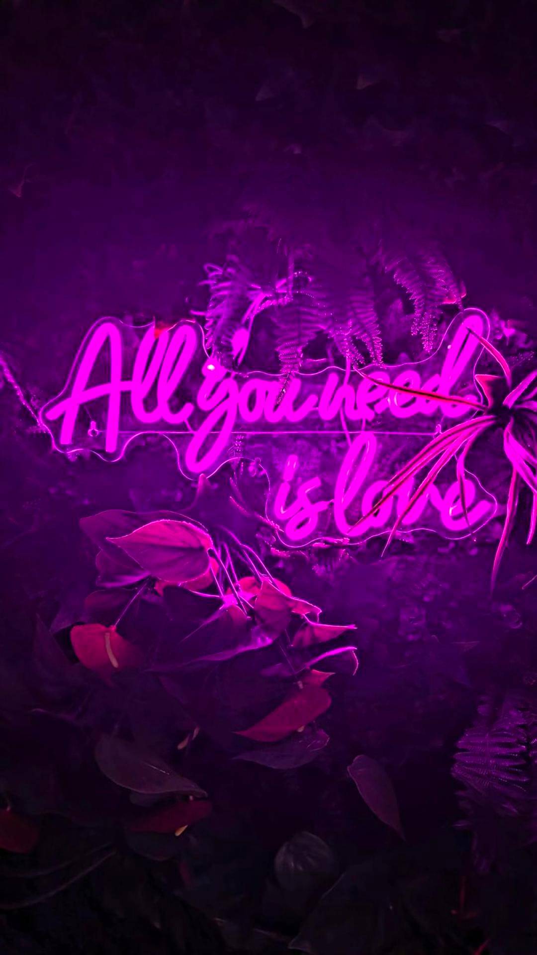 Photo du logement - SUITE Roch'amore troglodyte Romantique et Unique - La Garde