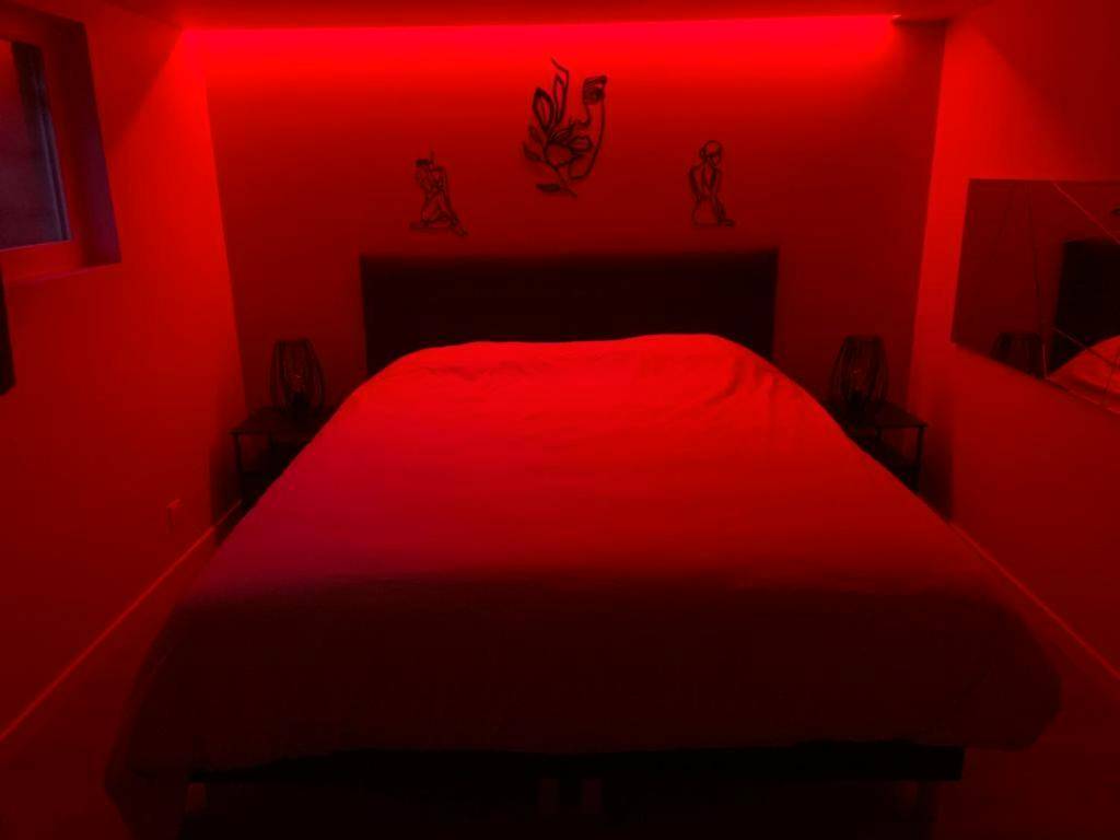 Photo du logement - *Romance Jacuzzi* Appartement Spa pour les amoureux ou les solos