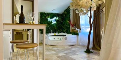 Espace détente avec spa et arbre décoratif - Romantica Spa