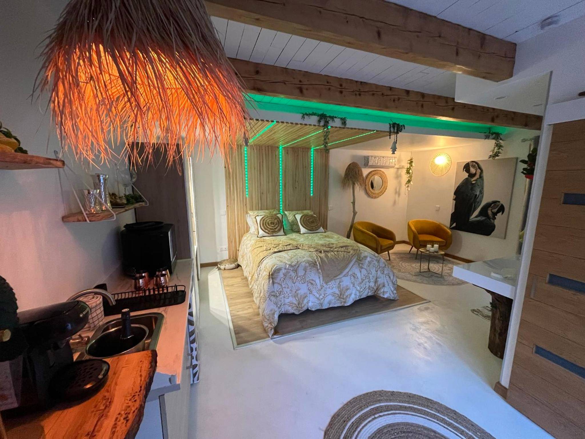 Suite romantique avec lit double et néons verts - La Romantica