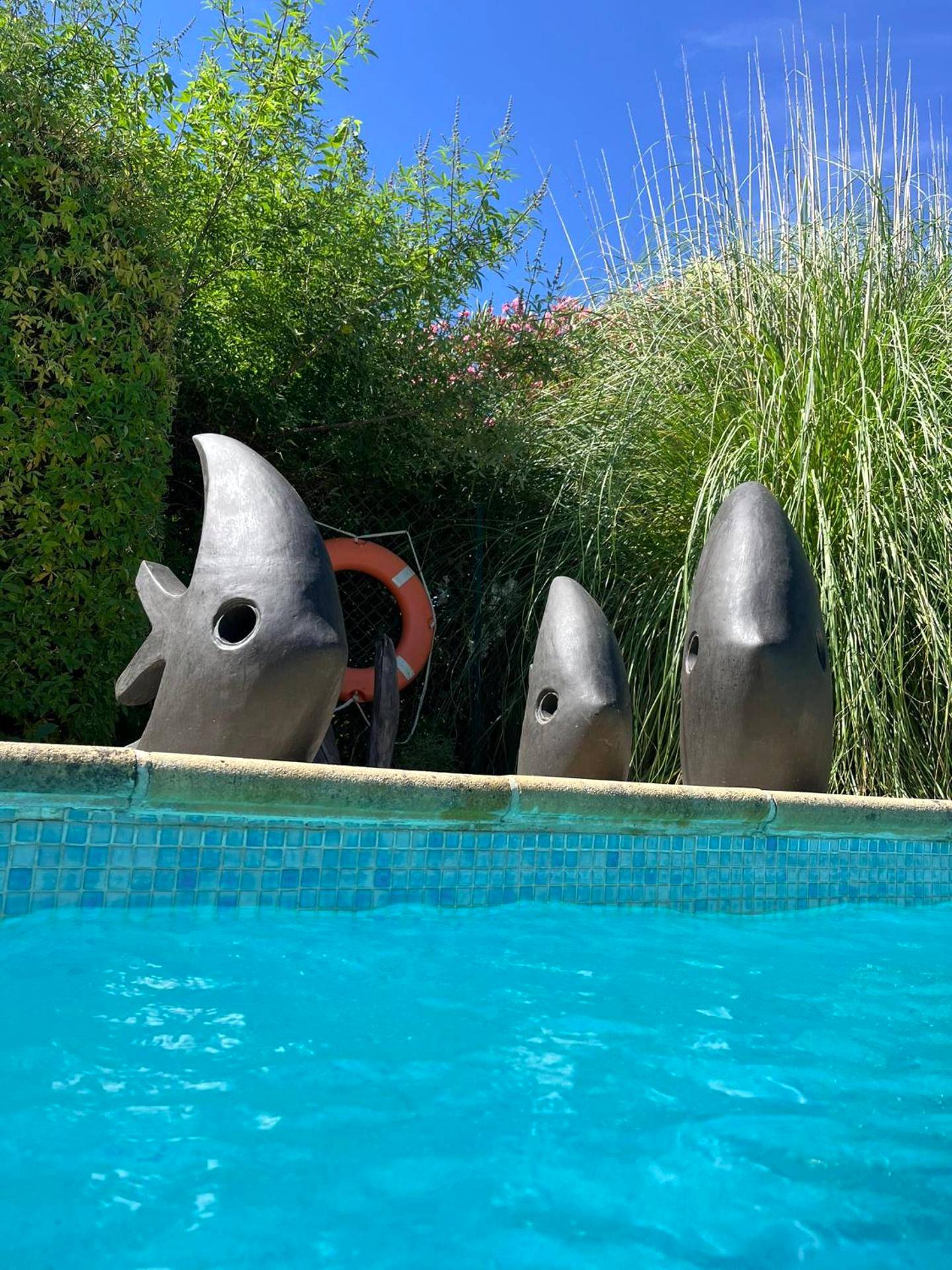 Photo du logement - La Romantica