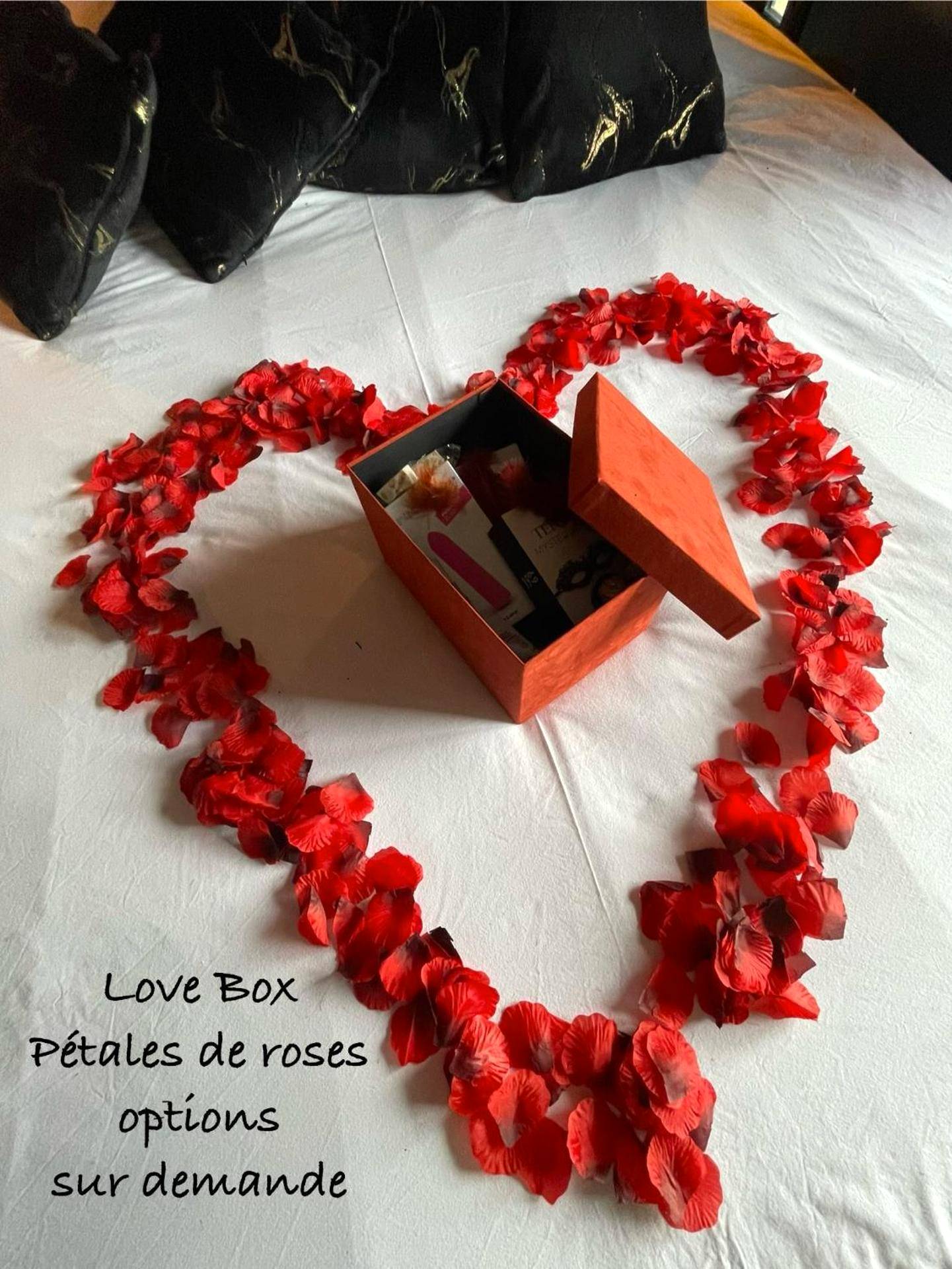 Photo du logement - RoomAndX - LoveRoom - Caen - Bayeux