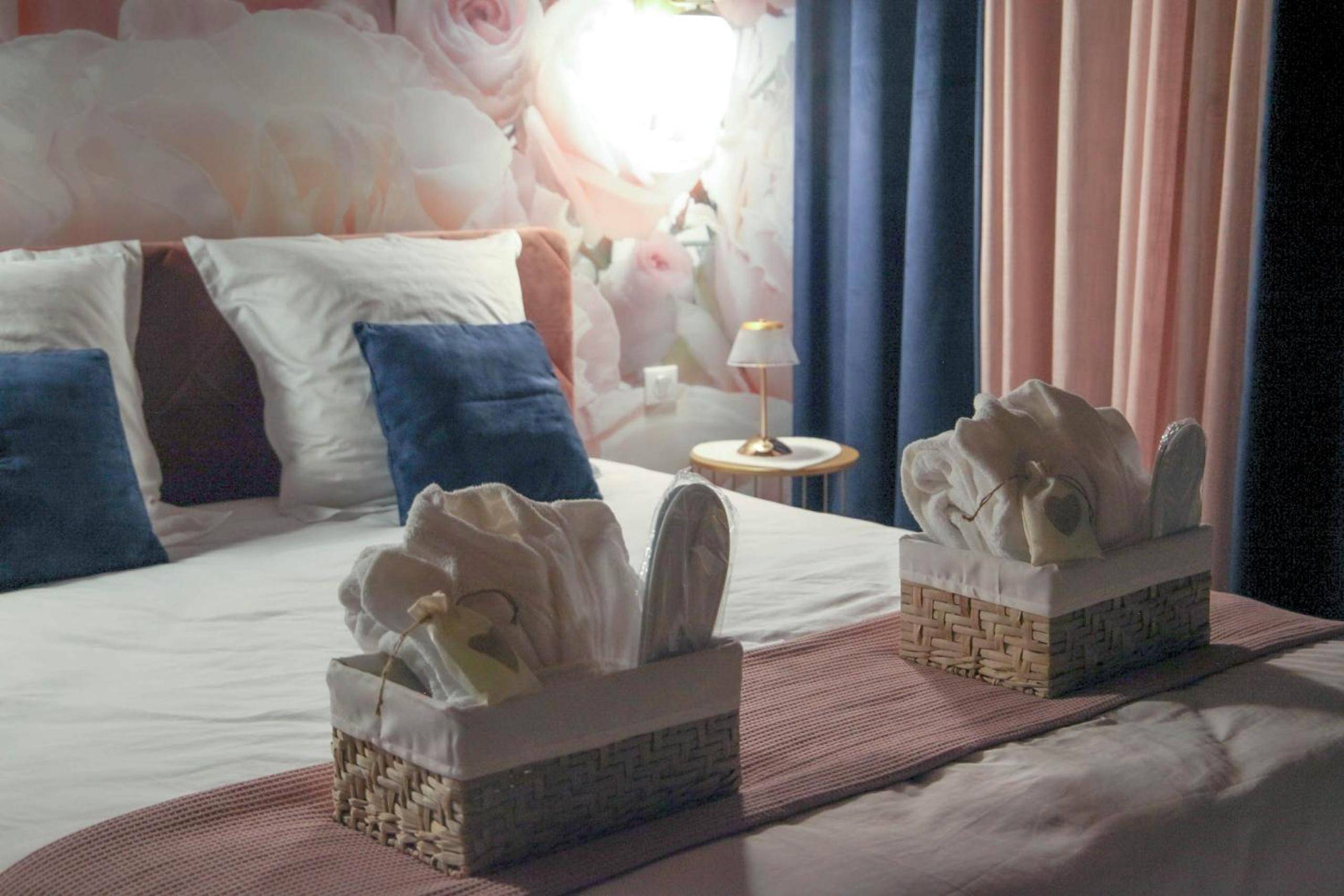 Photo du logement - Rose & Blue Spa proche Chalon S/Saône et Beaune