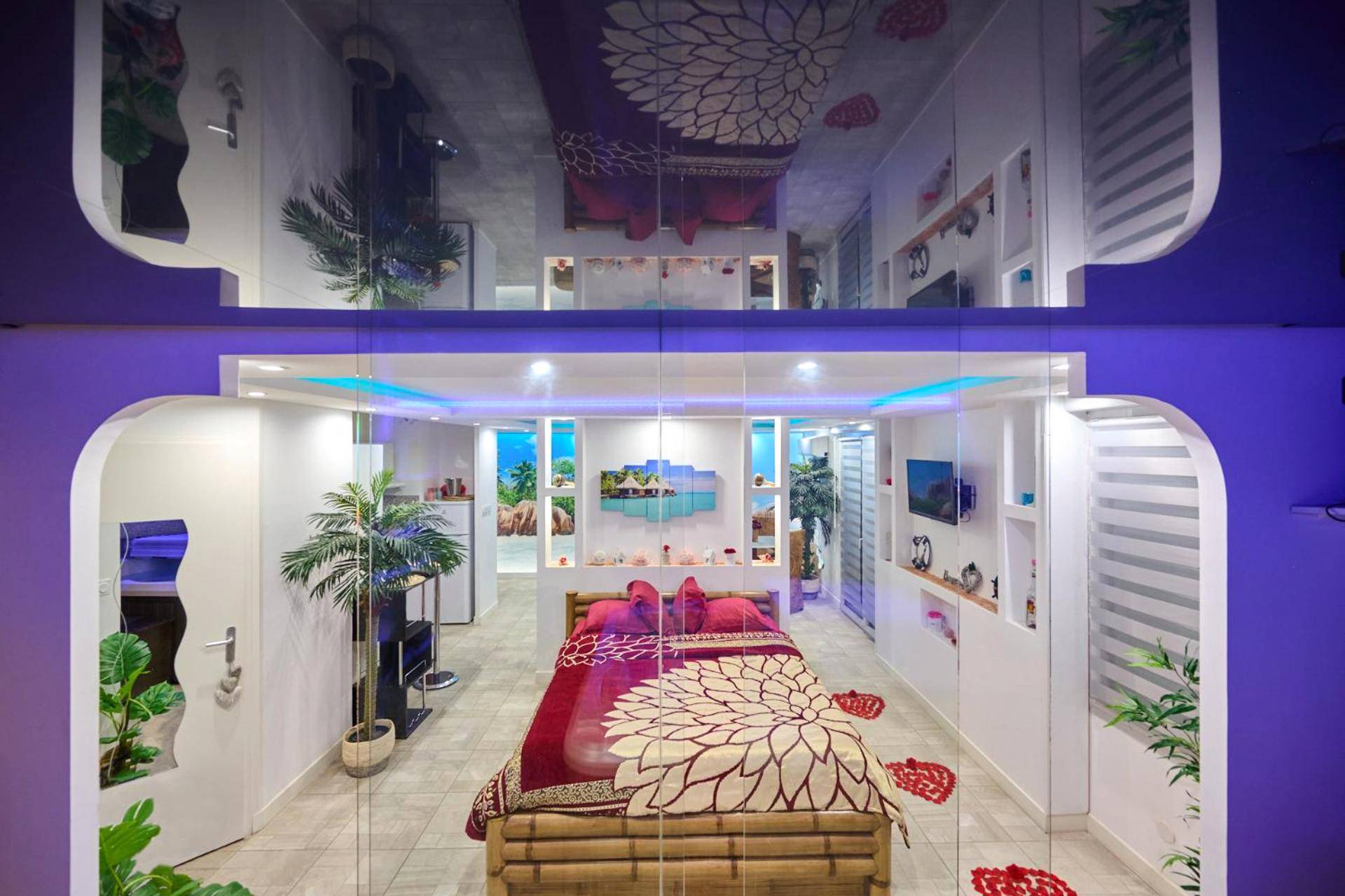 Photo du logement - Sablotin SPA - Toulouse