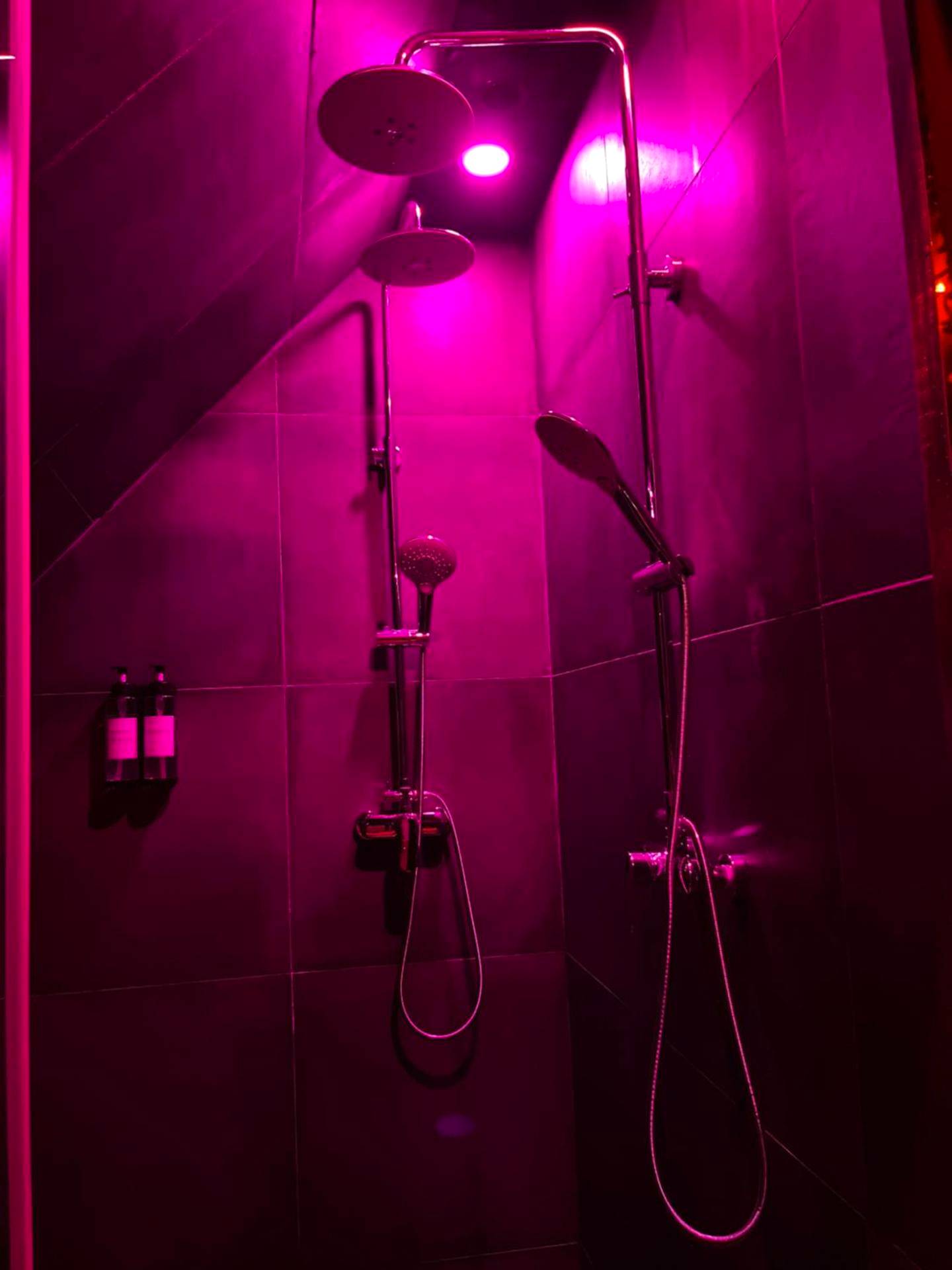 Photo du logement - La Sainteny Touch