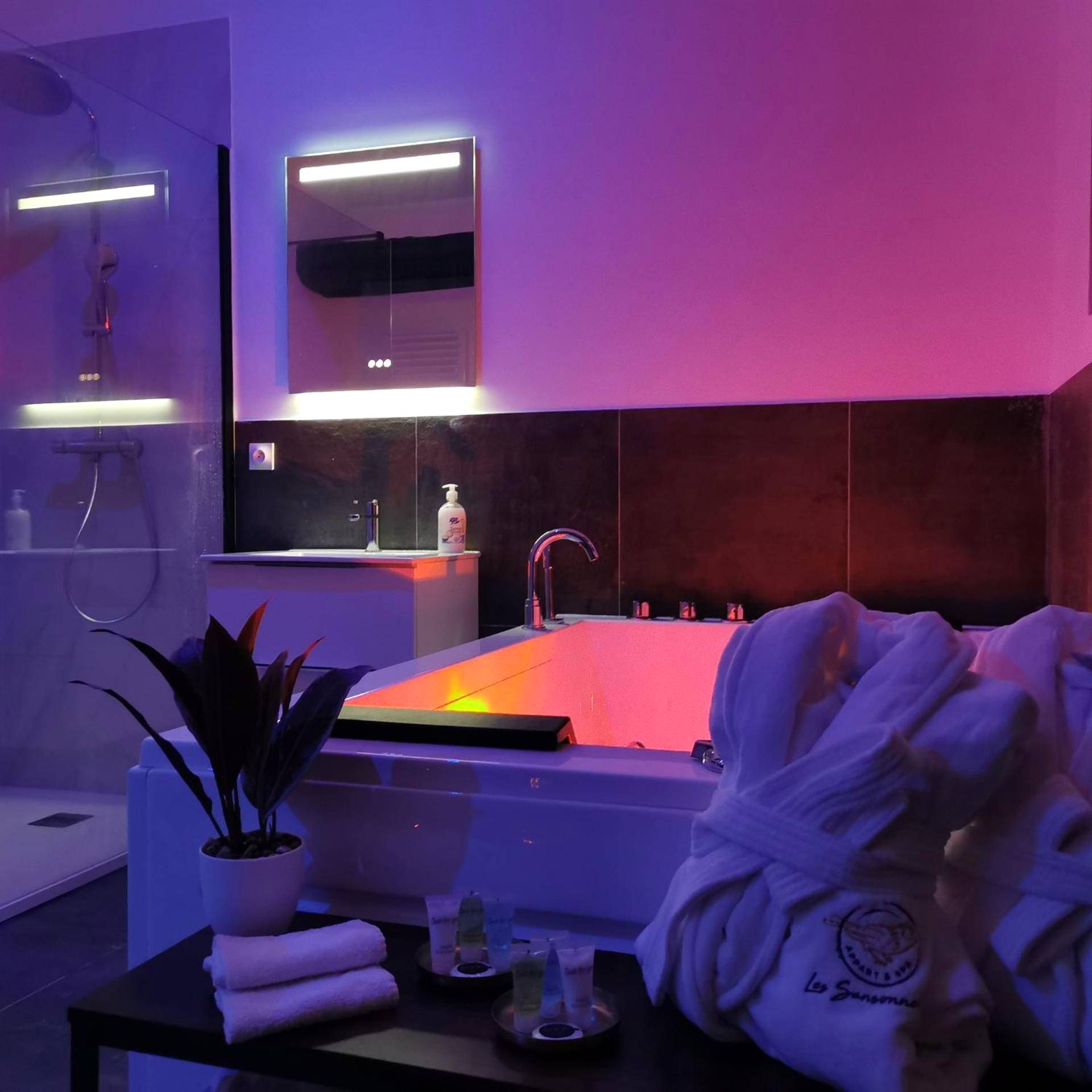 Vue interieure - Les Sansonnets Appart & Spa