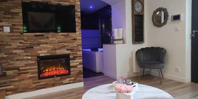 Cheminée moderne et table basse en marbre - Sauna, jacuzzi, terrasse et parking