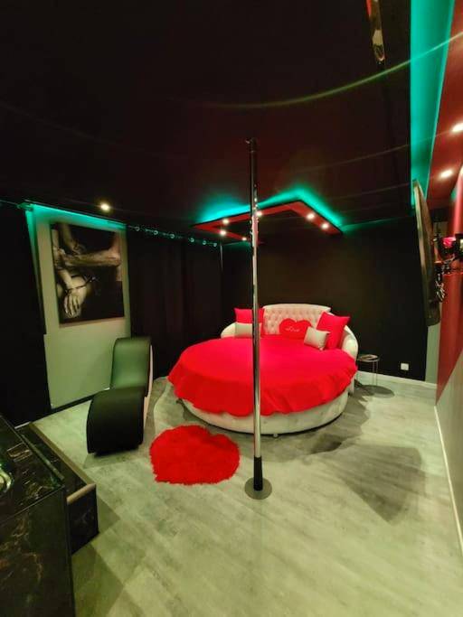 Photo du logement - Secret Night II - Toulouse