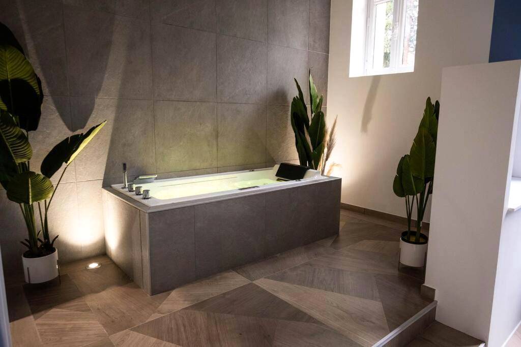 Photo du logement - Le secret d'Ondine - Centre ville - Aix - les - Bains