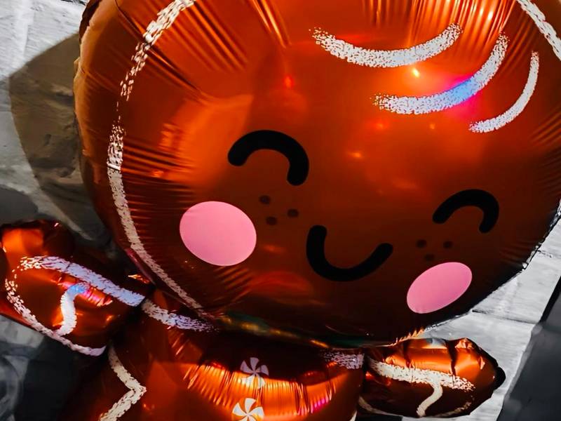 Photo du logement - Secret Room votre LOVE ROOM coquine et insolite en espace privatif a Tournai