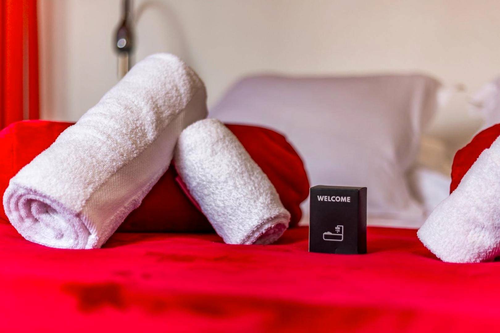 Photo du logement - Le secret des Templiers - Lyon